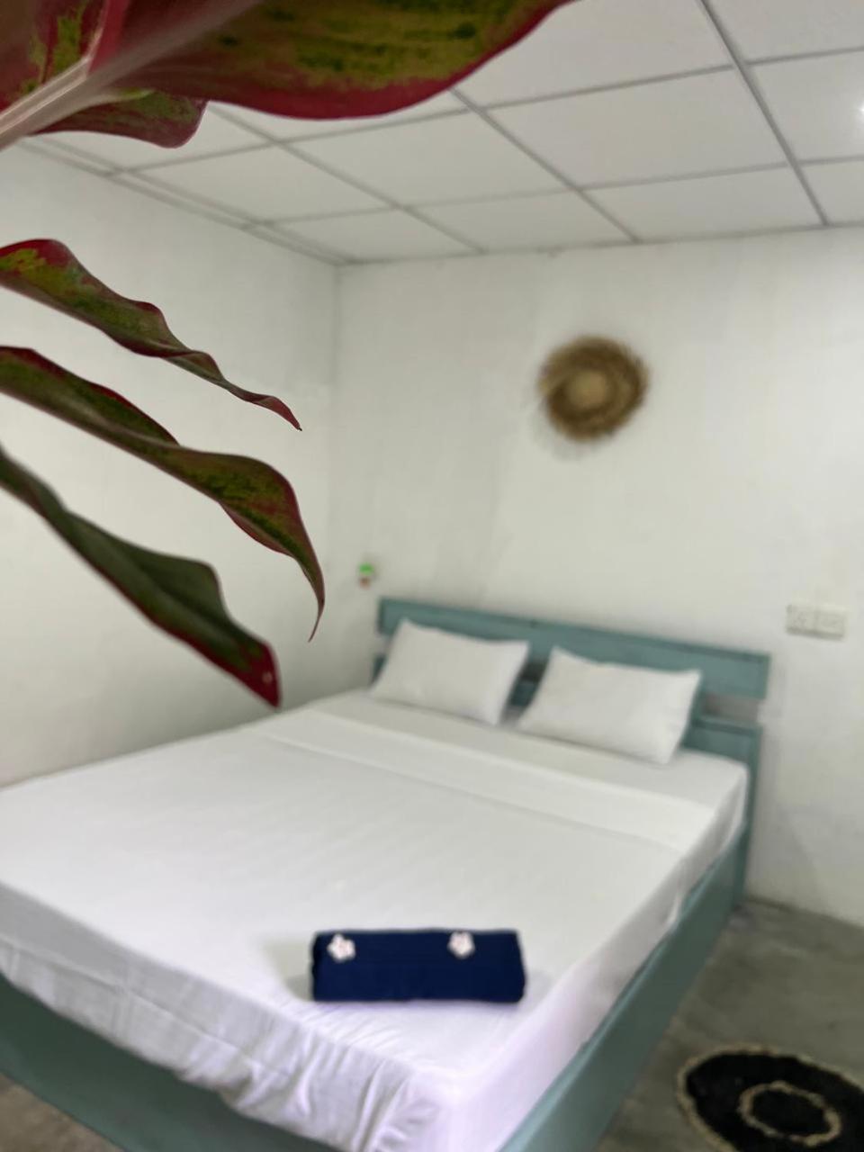 Cactus Arugambay Hostel Arugam Bay Exterior photo